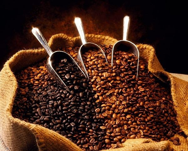 Giá cà phê hôm nay ngày 21/5 giảm 500 đồng/kg