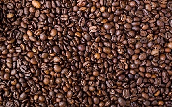 Giá cà phê hôm nay ngày 25/5 biến động trái chiều ở hai sàn giao dịch lớn