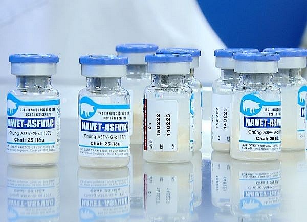 Việt Nam là quốc gia đầu tiên sản xuất thương mại thành công vắc-xin dịch tả lợn châu Phi