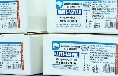 Việt Nam công bố sản xuất thành công vắc-xin dịch tả lợn châu Phi