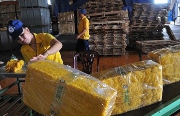 Cao su Việt Nam tăng thị phần tại Hàn Quốc
