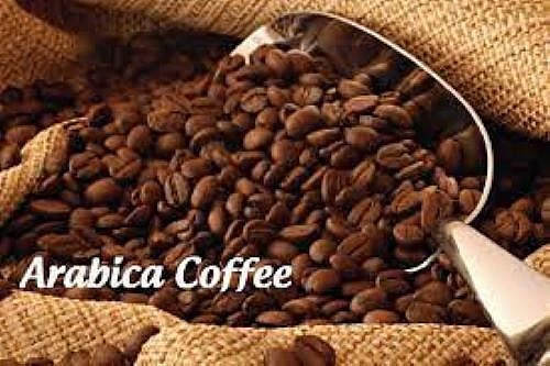 Giá cà phê arabica tăng vọt