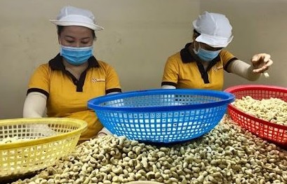Thương mại Việt - Nga: Kim ngạch nông sản chiếm khoảng 18 - 20%