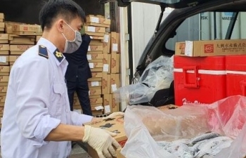 Bộ Nông nghiệp và Phát triển nông thôn ban hành bảng mã số HS mới