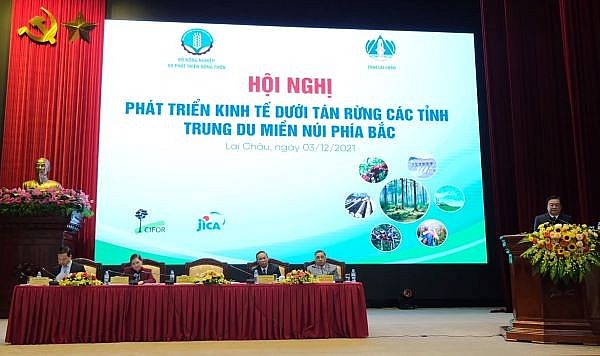 Phát triển kinh tế dưới tán rừng các tỉnh Trung du và miền núi phía Bắc