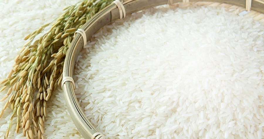 Giá lúa, gạo diễn biến ổn định trong phiên ngày 10/1