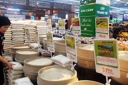 Giá lúa gạo hôm nay ngày 24/3 giữ ở mức ổn định