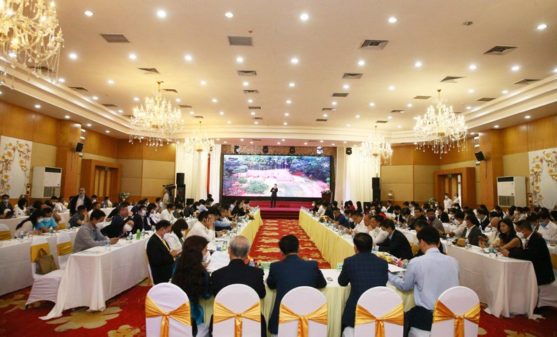 3 địa phương Thanh Hóa, Nghệ An, Hà Tĩnh phối hợp quảng bá du lịch