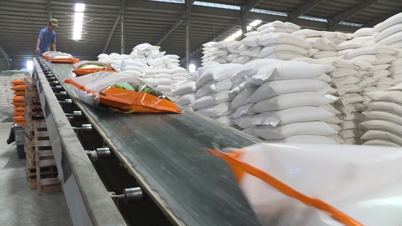 Xuất khẩu gạo quý I/2022 tăng cả về lượng, kim ngạch và giá