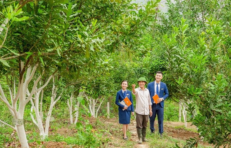 Nông nghiệp, bảo hiểm “chắp cánh” thương hiệu LienVietPostBank