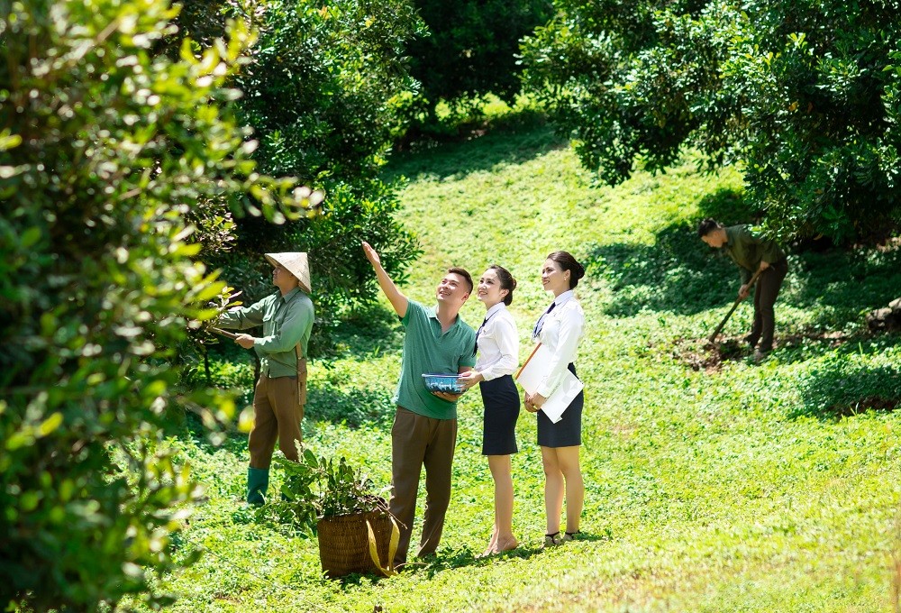 Cho vay chuỗi giá trị thúc đẩy phát triển kinh tế nông thôn bền vững Cho vay chuỗi giá trị thúc đẩy phát triển kinh tế nông thôn bền vững