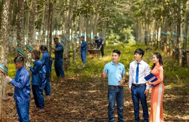cho vay chuoi gia tri thuc day phat trien kinh te nong thon ben vung