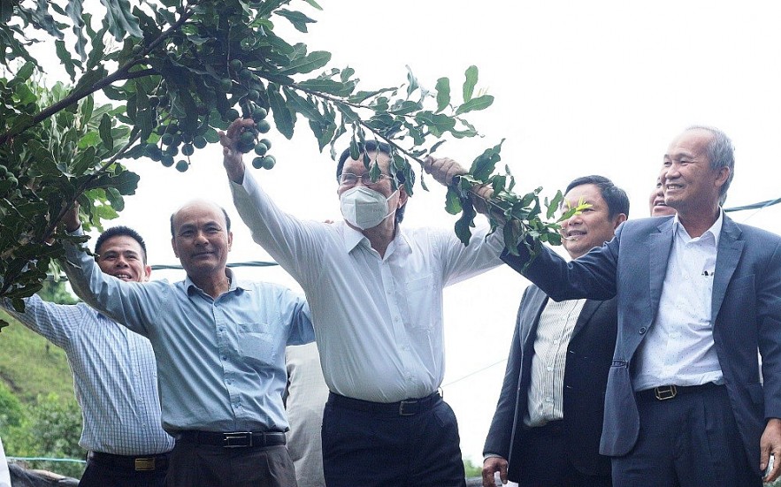 Chủ tịch nước Nguyễn Xuân Phúc trồng vườn cây mắc ca ở Điện Biên