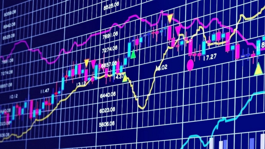 Công ty cổ phần Xuất nhập khẩu Sa Giang bị phạt do vi phạm về công bố thông tin