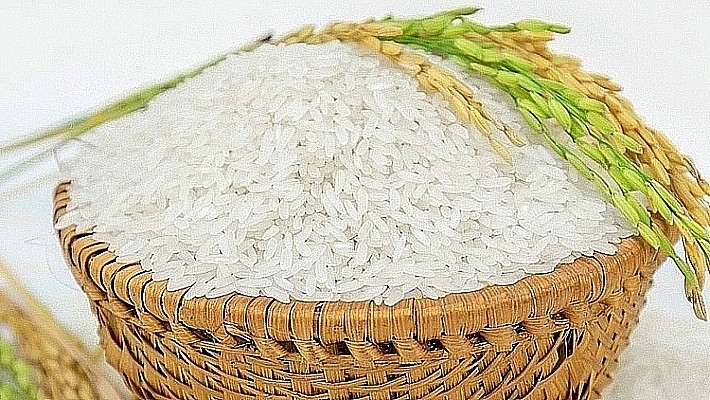 Giá lúa gạo ngày 29/10: Gạo nguyên liệu tăng nhẹ