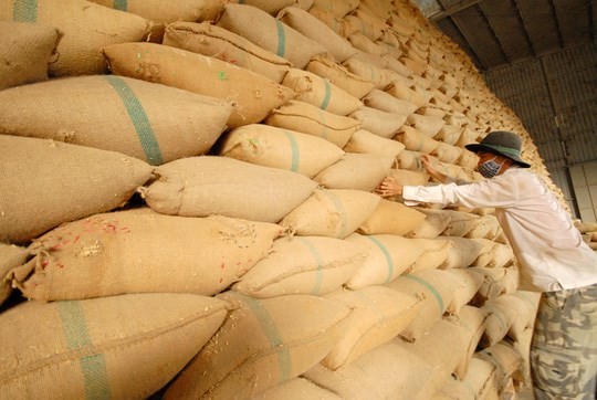 Tồn trữ gạo thế giới niên vụ 2021/2022 dự báo giảm hơn 170 triệu tấn