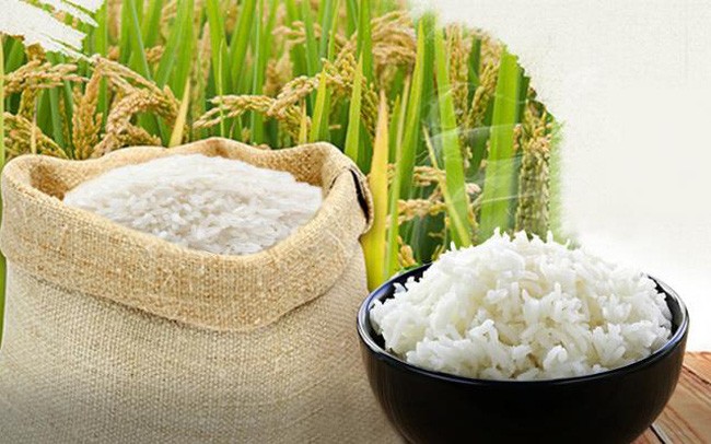 Giá lúa gạo ngày 8/11 giữ ở mức ổn định