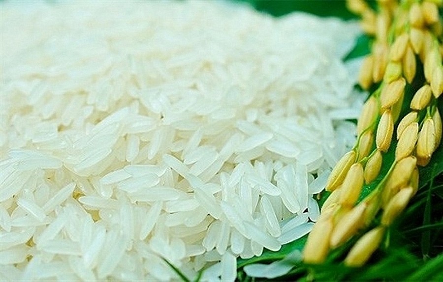 Giá lúa gạo ngày 29/11: Gạo nguyên liệu và thành phẩm xuất khẩu giảm nhẹ