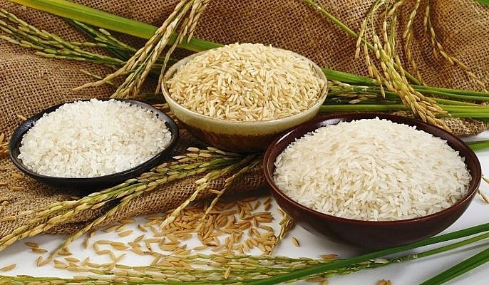 Giá gạo nguyên liệu tiếp tục giảm
