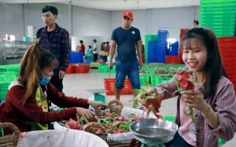 Hàng loạt thị trường siết quy định SPS, doanh nghiệp xuất khẩu chủ động điều chỉnh và thích ứng