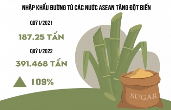 Mạnh tay với thủ đoạn gian lận xuất xứ để nhập lậu đường