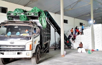 Chú trọng phòng dịch, hoàn thành nhiệm vụ xuất cấp hàng dự trữ
