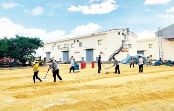 Đảm bảo nguồn lực dự trữ hỗ trợ người dân