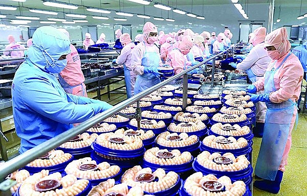 Xưởng chế biến thủy sản xuất khẩu trong khu công nghiệp Sông Hậu (huyện Châu Thành, Hậu Giang).
