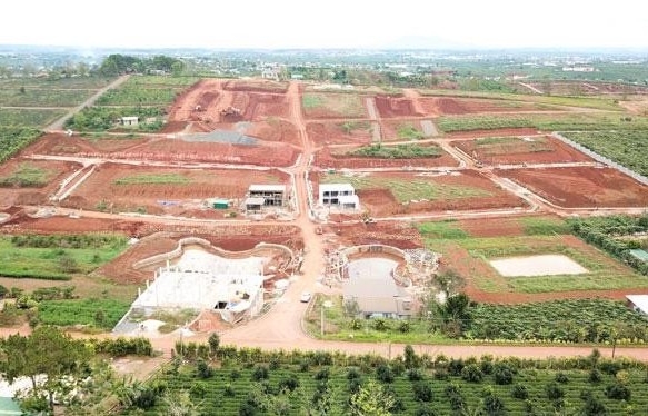 Xử lý nghiêm tình trạng phân lô bán nền, lấn chiếm đất rừng trái pháp luật