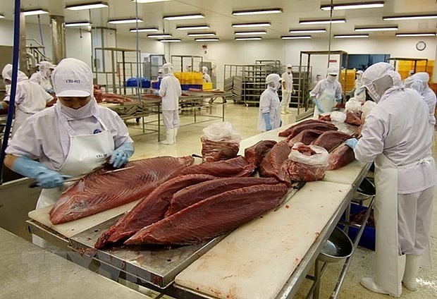 Vietnam’s tuna export has bright prospect
