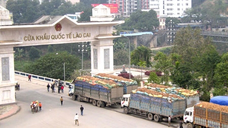 lao cai doanh nghiep fdi nop ngan sach tang 16