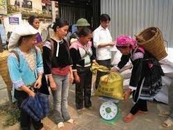 Xuất cấp gần 6.000 tấn gạo hỗ trợ nhân dân dịp Tết Ất Mùi