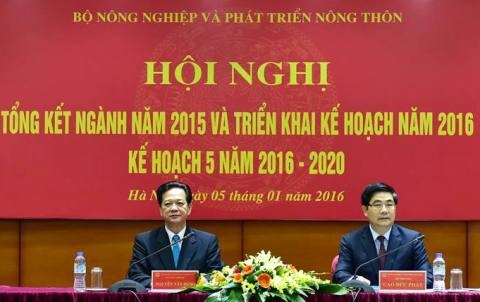 Nông nghiệp phải là bệ đỡ cho sự phát triển của đất nước