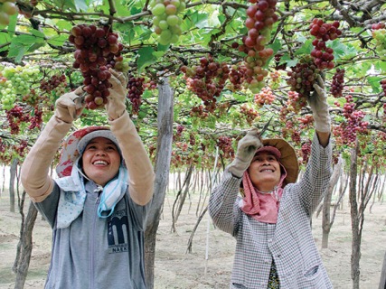 Nông nghiệp