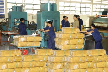 Cao su Việt Nam tăng chế biến sâu để giảm xuất thô