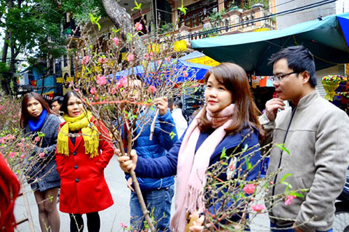 Hà Nội: Tổ chức 63 điểm chợ hoa xuân Tết Mậu Tuất