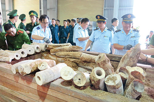 Ngành Hải quan: Một năm nỗ lực chống buôn lậu