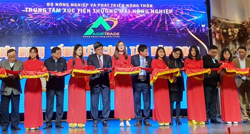 120 gian hàng tham gia hội chợ Xuân Canh Tý 2020