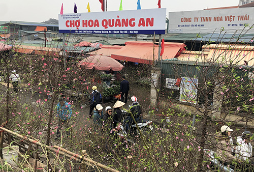 Quảng An