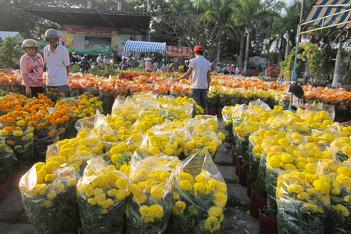 Ngày xuân thú chơi cây hoa kiểng