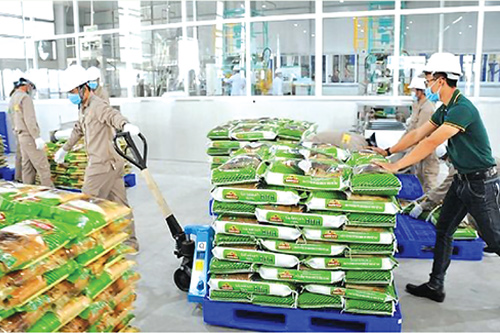Công ty cổ phần Tập đoàn Giống cây trồng Việt Nam (Vinaseed) – một trong những