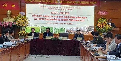 Ngành lâm nghiệp đặt mục tiêu xuất khẩu 14 tỷ USD năm 2021