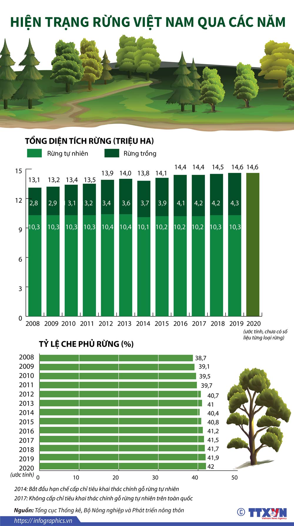 Infographics: Hiện trạng rừng Việt Nam qua các năm