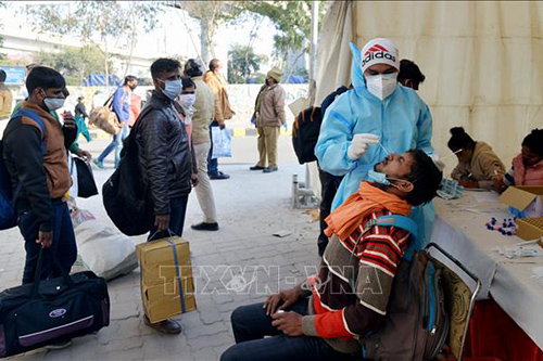 Nhân viên y tế lấy mẫu xét nghiệm COVID-19 cho người dân tại Delhi, Ấn Độ ngày 19/12/2020.