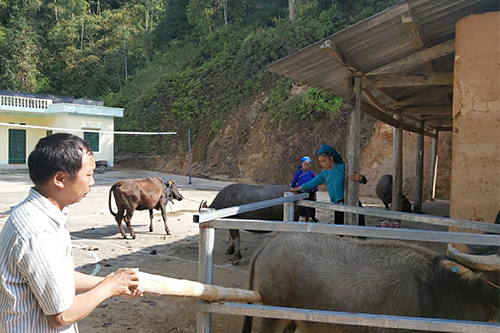 bảo hiểm nông nghiệp