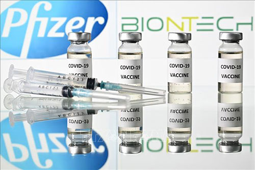 Vaccine ngừa COVID-19 của hãng dược Pfizer.