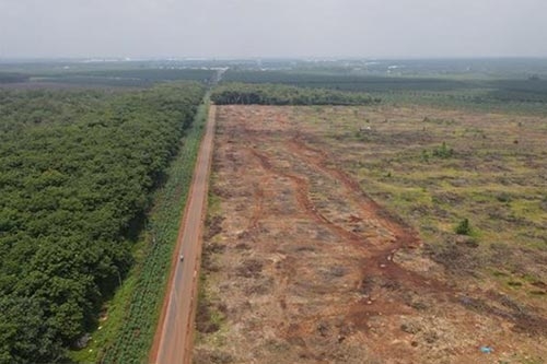 Sẽ xây mới 4 tuyến đường kết nối sân bay Long Thành