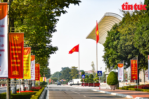 Trang trí thảm hoa, cây cảnh trên đường Phạm Hùng.