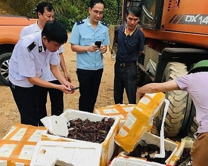 5 nhóm giải pháp triển khai đề án cải cách kiểm tra chuyên ngành