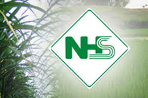 NHS thay đổi số lượng cổ phiếu có quyền biểu quyết đang lưu hành